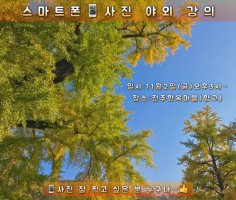 전주향교 은행나무 단풍속에 스마트폰사진 작가 유신웅 마스터와 야외 강의해요~!