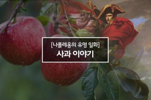 나폴레옹갤러리에서 들려드리는 나폴레옹 일화! 유명 일화를 통해 나폴레옹의 영웅적 면모를 만나보자!