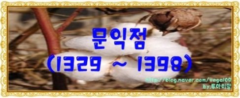 문익점의 목화씨