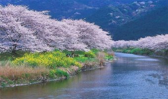 ★잠시 스쳐가는 인연일지라도