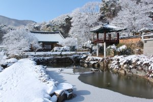 ◎양산 통도사 雪景...