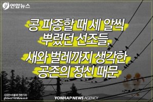 [숨은 역사 2cm] '약자 배려' 구례 운조루, 빨치산 방화·약탈에도 건재