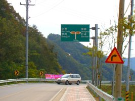 정읍 구절초 축제