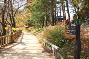 오대산 월정사 전나무숲길의 가을풍경 (2014.10.18)