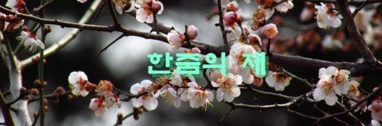 한줌의 재