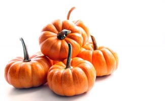 늙은호박 효능 알아보고 섭취해 보아요