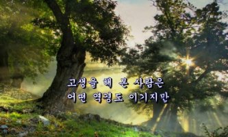 인생 공식대로 사는거다