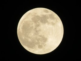 큰 달이 아름다운 정월대보름에는 무얼할까?