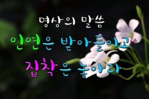 [명상의 말씀] 인연은 받아들이고 집착은 놓아라 (글:법정스님)