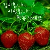 축복 이미지