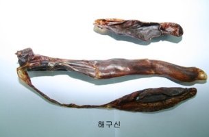 임금님의 해구신