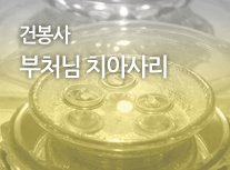 부처님 진신 치아사리