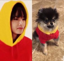 지민 : 태형이 탄이 닮아 가는거 같아