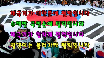 2-11 대한문 태극기 물결이 광화문 촛불을 덮고 펄럭입니다
