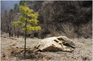 자연과 더불어 자연인이 사는 곳,시간이 멈춘 듯 한가로운 산골마을,그림같은 황토주택,전원주택매매,산장,산방,과수원부지,평창부동산매물 228번