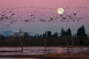 Full moon, 보름달