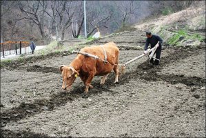 '청명', 맑고 밝은 봄 날씨가 시작되는 절기