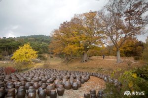 명재고택의 가을빛