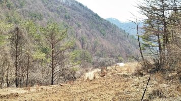 매매완료,자연인이 사는곳을 연상케하는 시냇물 흐르는 남향 강원도 평창부동산 토지매매 평창토지 전원주택지