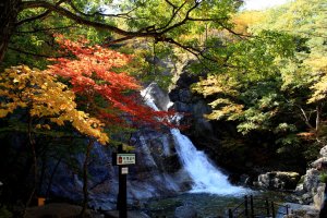 * 오대산 소금강계곡 산행기