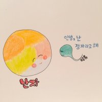 >4< 배란일(배란기) 계산 & 원포 배테기 임신확인시 사용법, 주의사항 ^.^