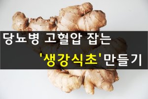 당뇨병 고혈압 잡는 생강식초 만들기