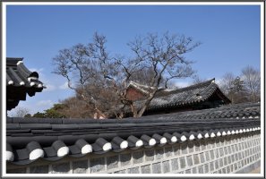 전주 경기전과 한옥마을