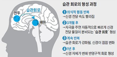 뇌의 습관회로.