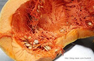 늙은호박죽*호박죽*죽*호박죽맛있게 만드는법*호박죽 쉽게만들기*늙은호박효능