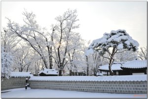 [스크랩] 전주 경기전의 설경|