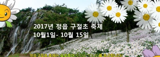 정읍 구절초 축제 2017 일정