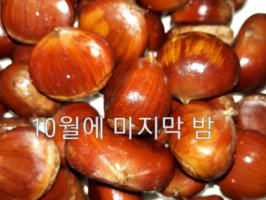 10월의 마지막 밤!