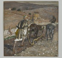 연중 제13주일 (교황 주일) Thirteenth Sunday in Ordinary Time