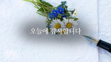 오늘에 감사합니다