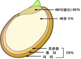 현미와 기능성 쌀에 대한 웰빙리포트(현미/발아현미/클로렐라쌀/흑미/강황쌀/연잎쌀/효능)