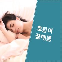 호랑이꿈해몽 13가지 정리