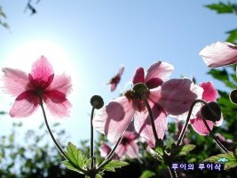 나이를 보태기보다는 나이 빼기를 좋아하는 나이/ 중년이라는 나이