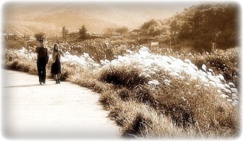 김연숙 - 숨어 우는 바람소리