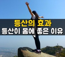 ★★ 등산의 효과, 등산이 몸에 좋은 이유 ★★