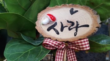 덮어주는 삶이 아름답습니다