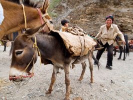 지도상에 사라져버린 티벳의 '캄'