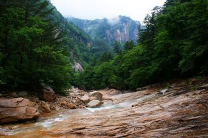 여름 설악산의 운해