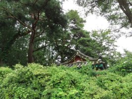 전설-다자구야 들자구야