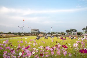 황금들녁에서 펼쳐진 2017김제지평선축제