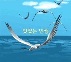 멋있는 인생