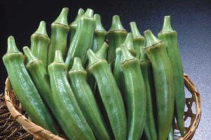 식욕왕성(히카사 요코 10월 28일자 블로그)