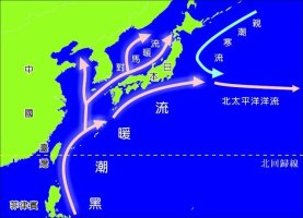 [세계의 스쿠버다이빙 포인트] 환상의 스쿠버 다이빙 포인트, 일본 神子元島 (Mikomotojima , 미코모토지마)