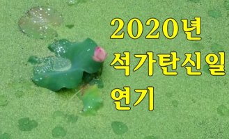 2020년 석가탄신일 연기, 공휴일은 4월 30일 그대로