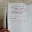 채골안 이미지