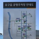 (주)제주색동투어 | 공주 유구색동수국정원 방문 전 꼭 보세요! 개화상황부터 주차까지, 직접 다녀온 실시간 솔직 후기🌸